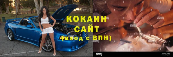 дживик Белокуриха