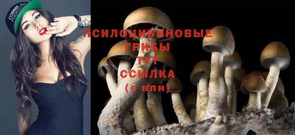 гашиш Белоозёрский