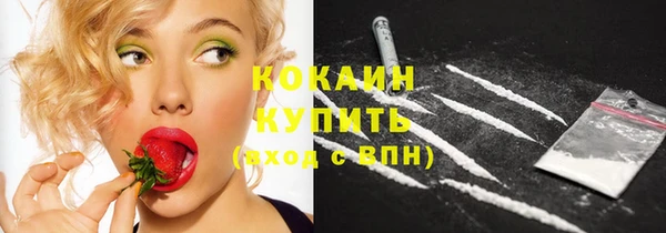 дживик Белокуриха