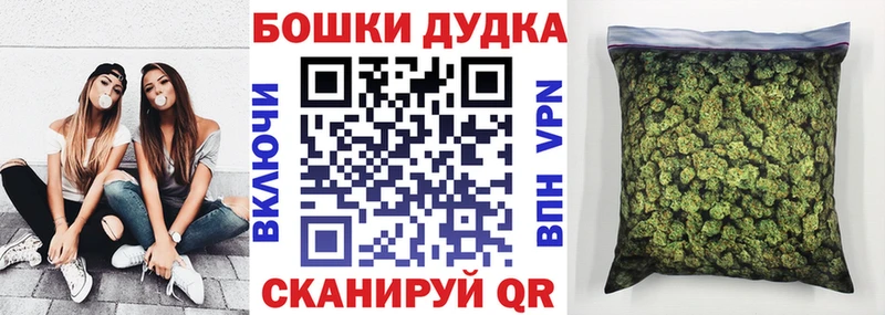 нарко площадка наркотические препараты  Мичуринск  Бошки Шишки план  закладка 